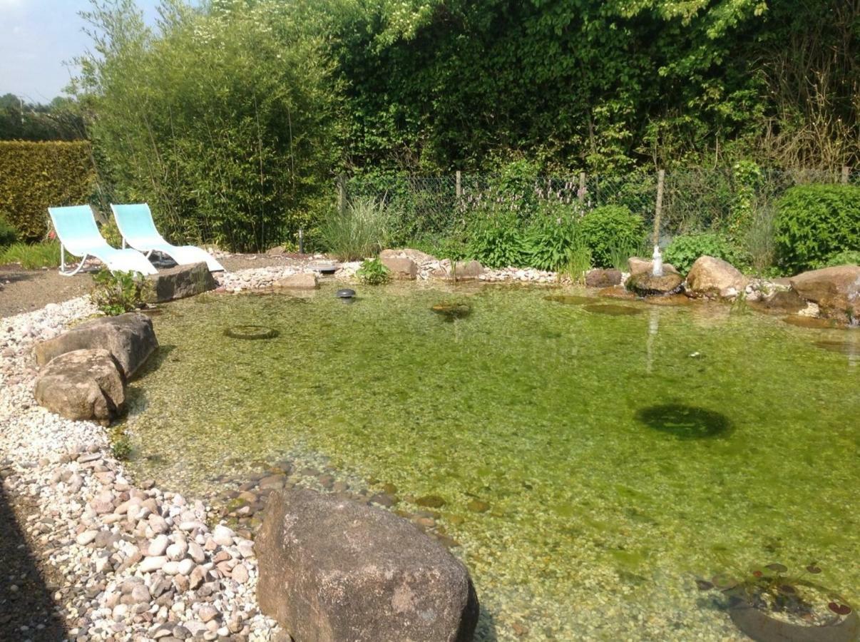 Maison Avec Piscine Et Sauna A Vire Eksteriør billede